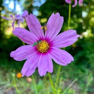 Meet your Posher, Kaylie